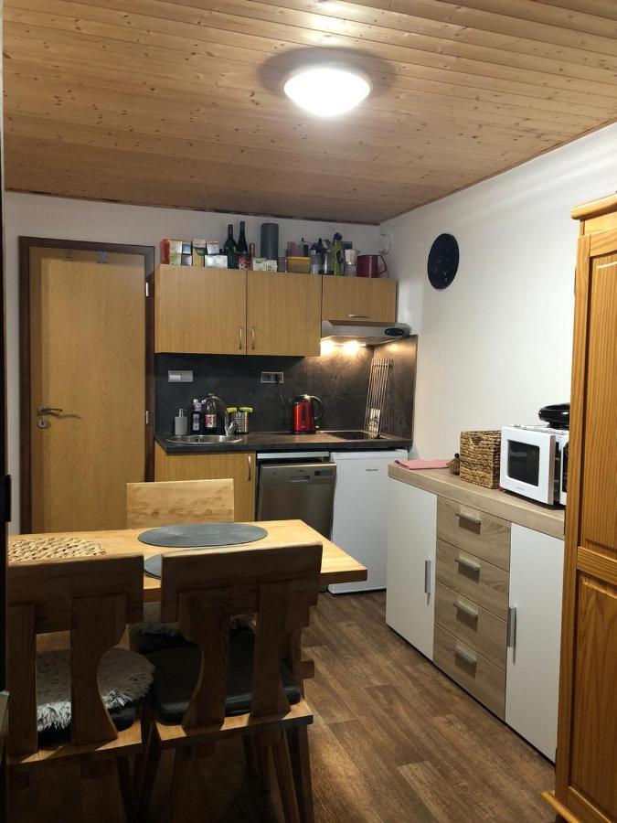 Apartman S Vyhledem Na Jezerni Stenu Železná Ruda 외부 사진