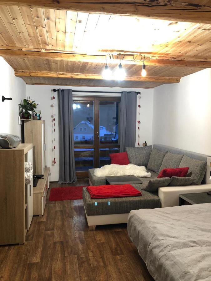 Apartman S Vyhledem Na Jezerni Stenu Železná Ruda 외부 사진