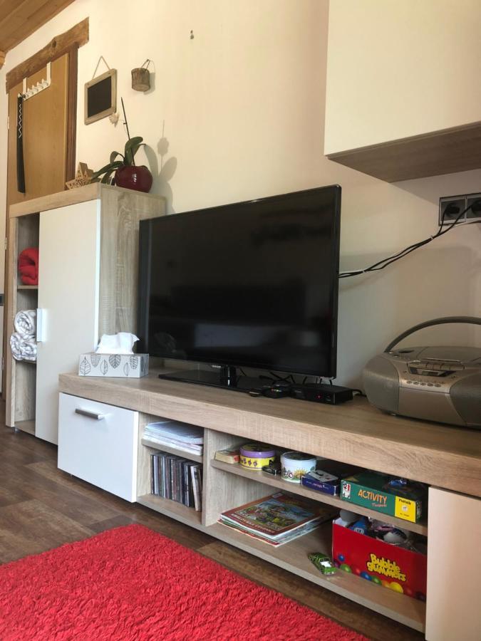 Apartman S Vyhledem Na Jezerni Stenu Železná Ruda 외부 사진