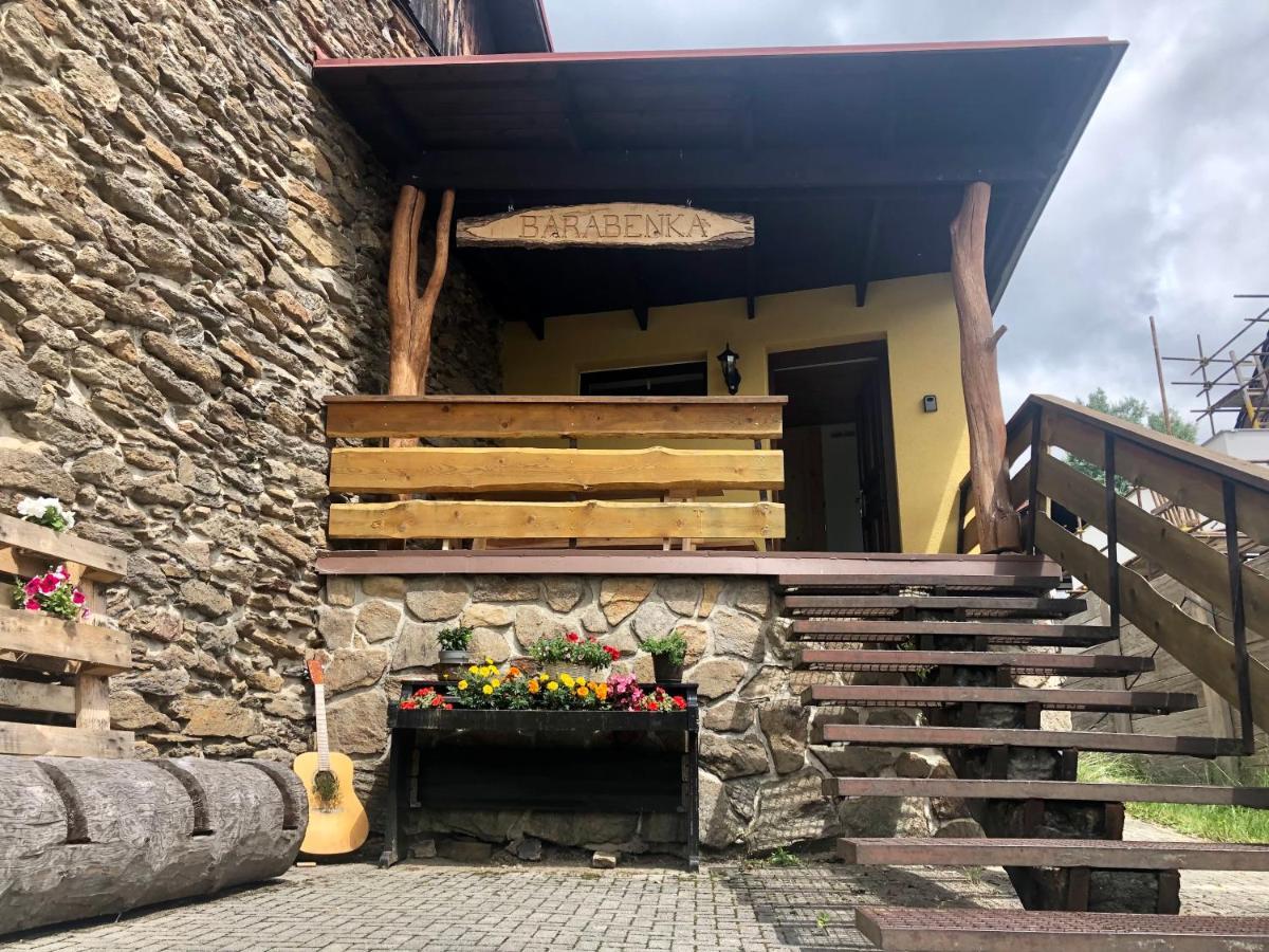 Apartman S Vyhledem Na Jezerni Stenu Železná Ruda 외부 사진