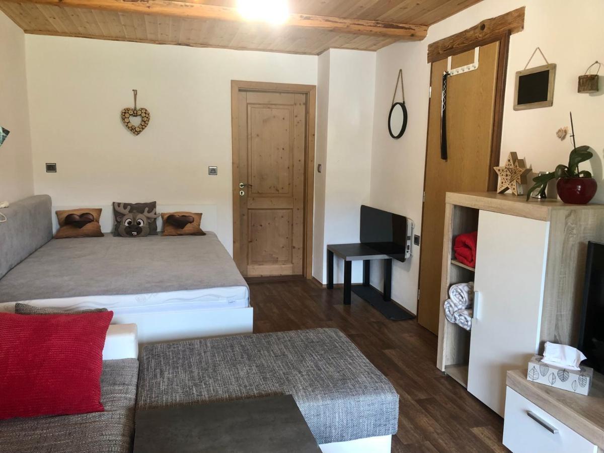Apartman S Vyhledem Na Jezerni Stenu Železná Ruda 외부 사진